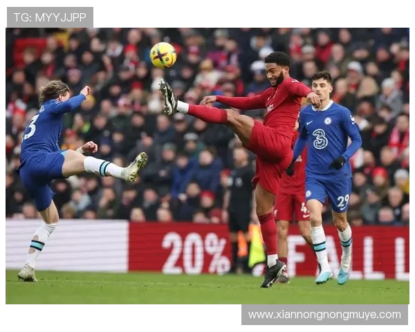 英超足球队的英文名称大全及常用译名对照 英超足球队的英文名称大全及常用译名对照