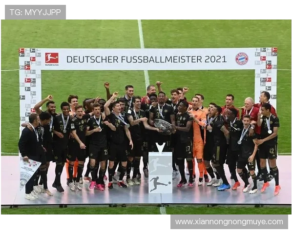 足球德甲最佳球队:历年表现最为出色的德甲强队 足球德甲最佳球队:历年表现最为出色的德甲强队