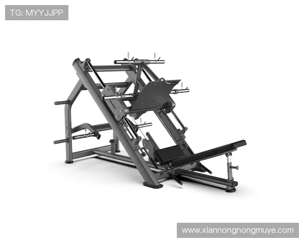 不同健身器材针对身体部位的训练效果 不同健身器材针对身体部位的训练效果