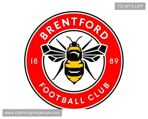 英超足球队概览:从球队结构到战术演绎 英超足球队概览:从球队结构到战术演绎