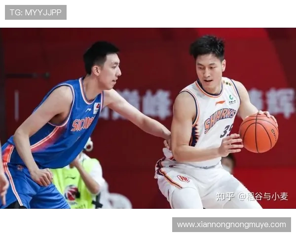 西安历史上是否拥有CBA球队?回顾与分析 西安历史上是否拥有CBA球队?回顾与分析
