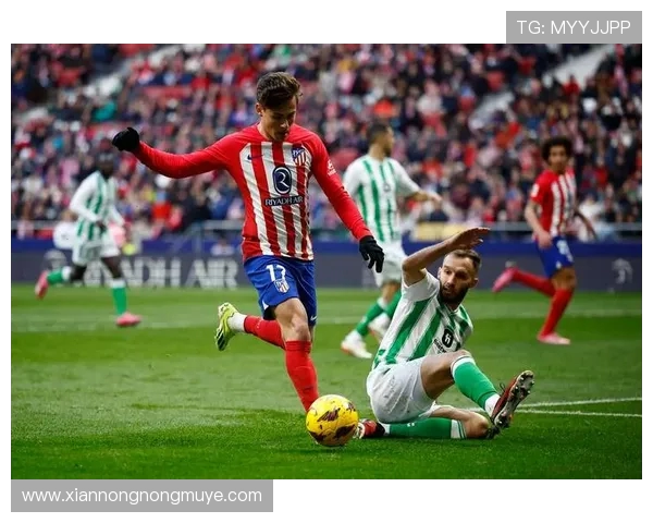 西甲联赛积分与赛程安排的互动关系深度解析