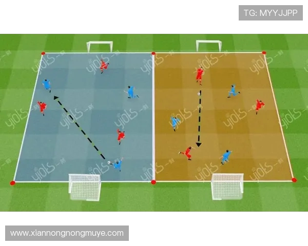 足球训练中的速度提升与战术执行