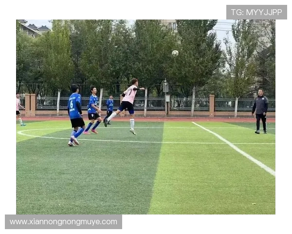 足球运动对青少年身体素质的影响