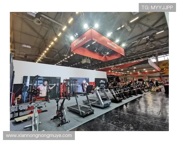 进口健身器材大全国外品牌表现大比拼