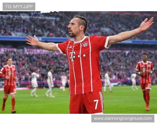 里贝里在欧冠联赛中的出色表现及影响力分析