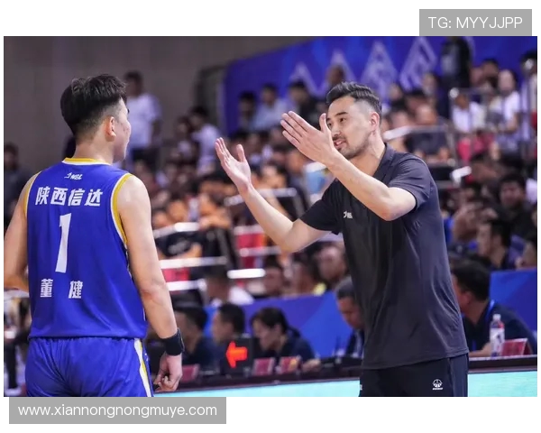 陕西CBA球队:陕西队的历史成就与未来规划