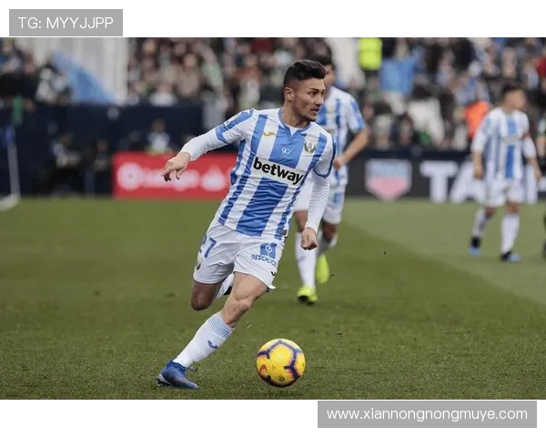 马德里竞技状态回暖重回争冠行列 展现强势复苏势头