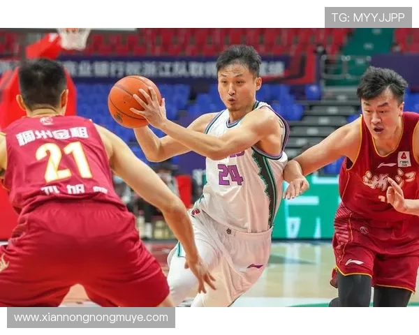 CBA篮球运动员刘尧资料与球员表现解析