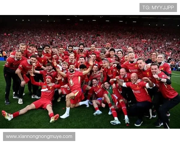 德甲历年联赛冠军球队排行榜（最新更新）