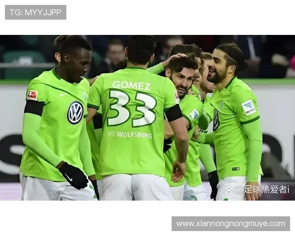 德甲哪支球队拥有最狂热球迷?德国足球激情文化全面剖析 德甲哪支球队拥有最狂热球迷?德国足球激情文化全面剖析