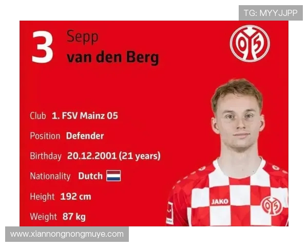 德甲未来最具潜力崛起的年轻球队名单