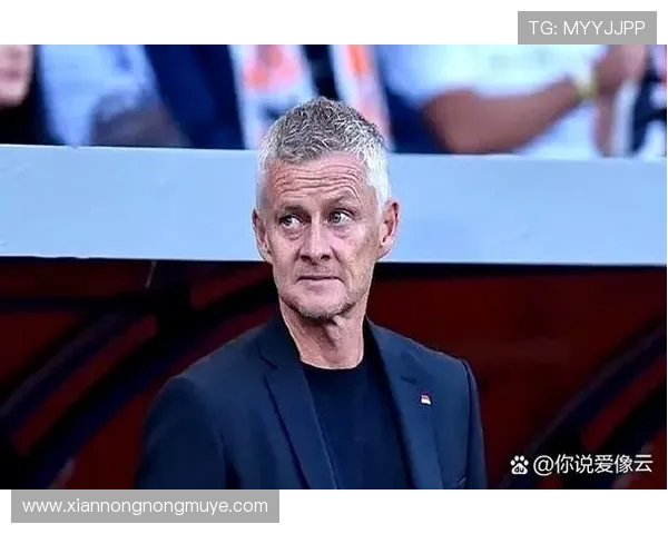 德甲球队幕后老板揭秘：他们如何影响俱乐部发展