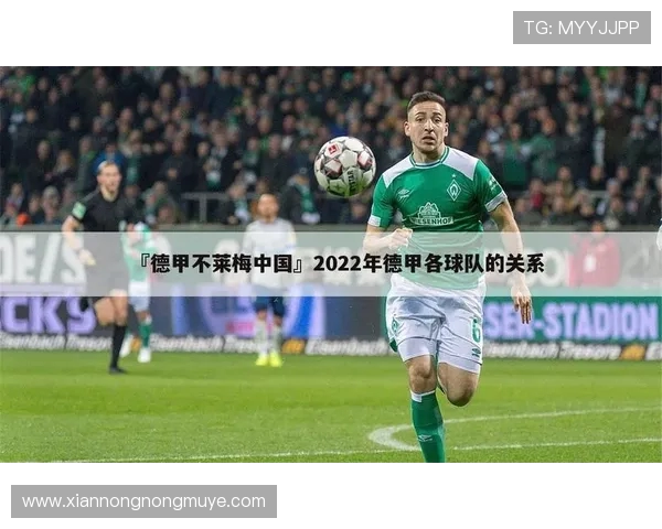 德甲联赛关于球队注册人数上限的最新规定与实施细节