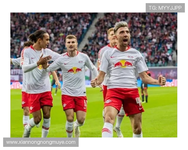 德甲魔鬼主场：德甲联赛中哪些主场最具威胁性？