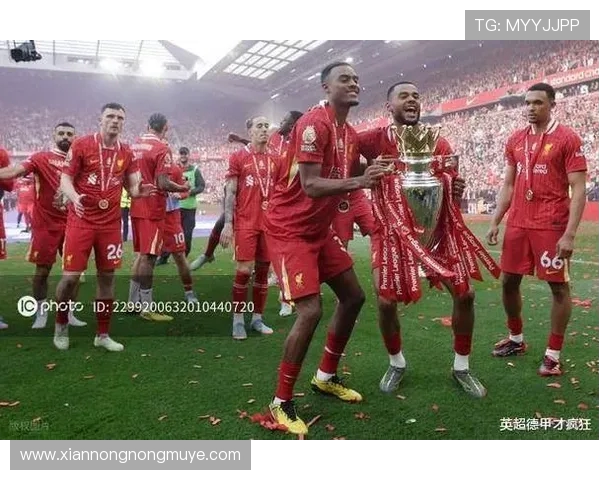 本赛季获得欧战资格的英超球队