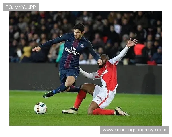 法甲外援比赛适应程度与长短期表现分析对比