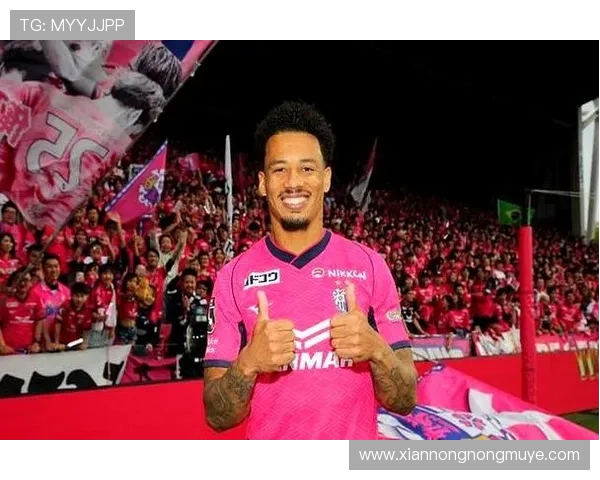 法甲明星前锋球员排行榜及技术特点解析