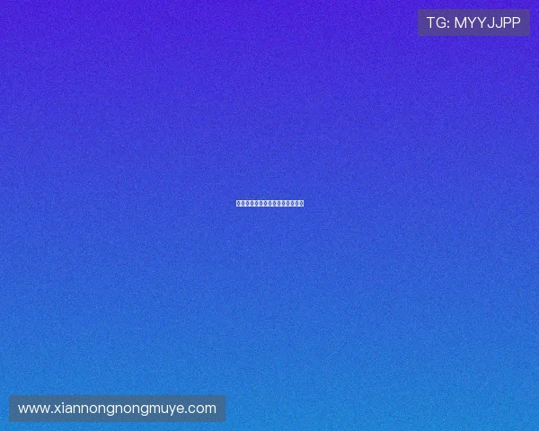 法甲经典比赛详情及关键时刻回顾