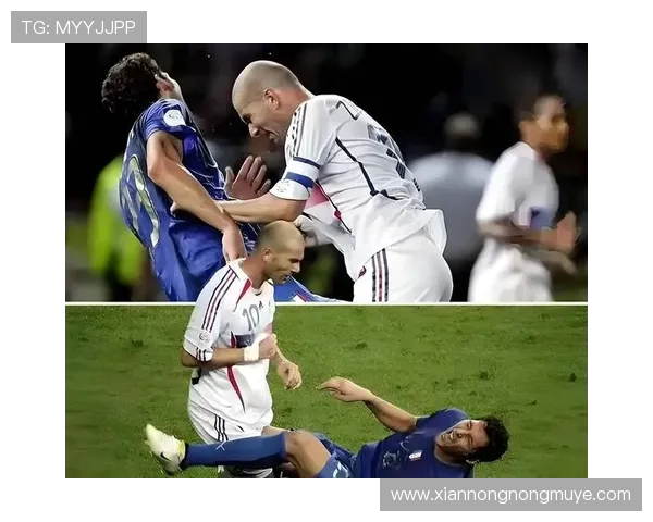 1998年法国世界杯参赛球队全解析及各队亮点回顾