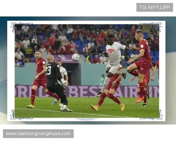 6月21日世界杯焦点对决球队实力全解析与赛前前瞻全面解读分析 6月21日世界杯焦点对决球队实力全解析与赛前前瞻全面解读分析