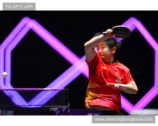 WTT世界杯是什么比赛 了解世界乒乓球赛事背后的精彩与历史