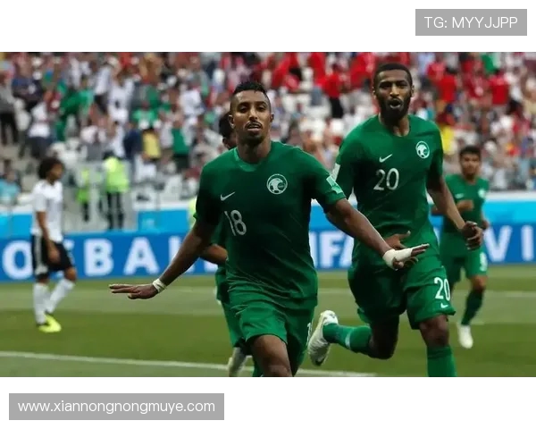 围绕二十二届世界杯冠军归属的前瞻分析与多维趋势预测解读