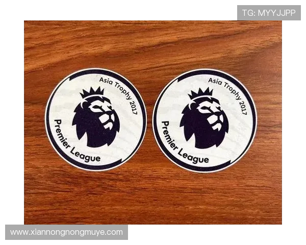 英超球衣臂章左右分布及图案代表意义详解