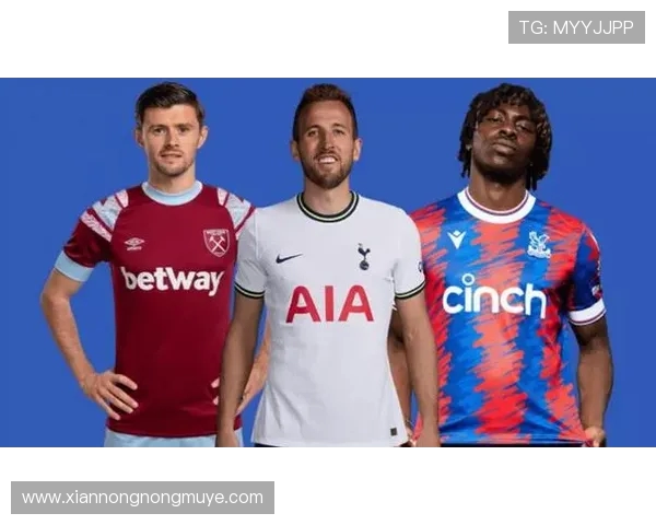 英超球队耐克赞助：耐克对英超球队的赞助合作与影响