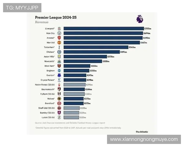 英超联赛中的富豪球员名单及财富排名