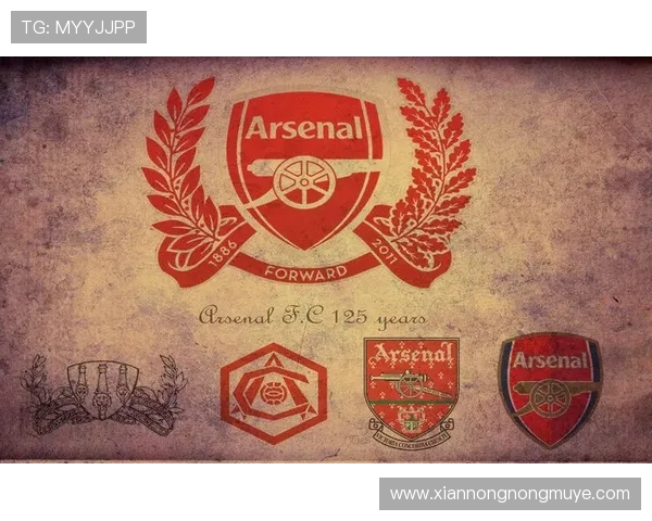 英超队名带有三个字的球队有哪些？语言趣味探讨