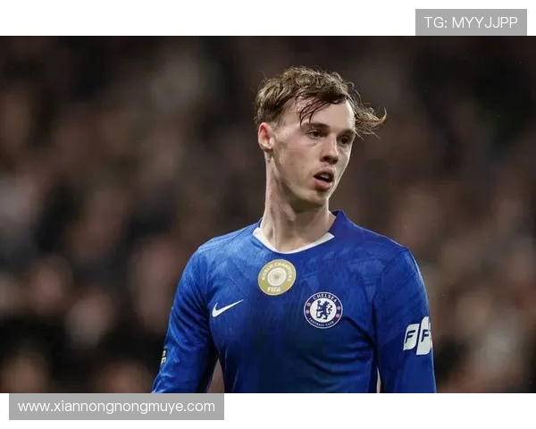 西班牙足球运动员在英超联赛中的表现及影响