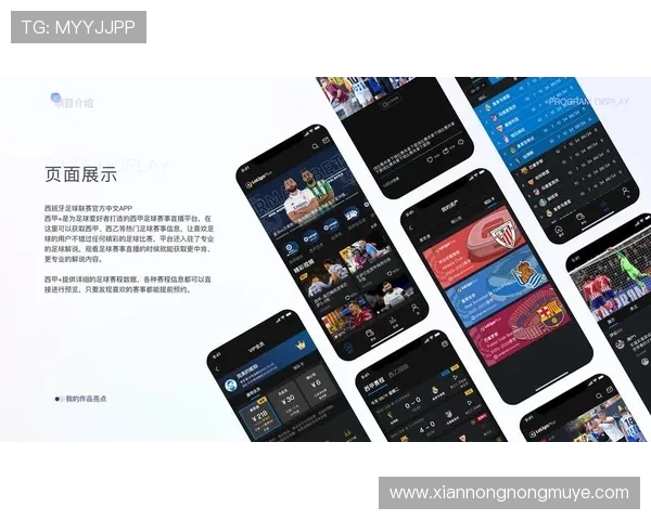 西甲比赛哪里有正版直播资源及平台推荐