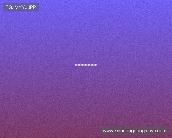 西甲联赛球员转会新闻与市场动态