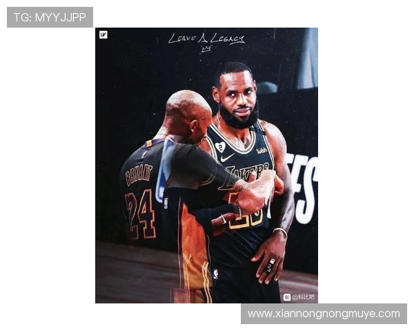 努力与坚持是成功的关键让我们向乔丹科比学习提升防守停止抱怨