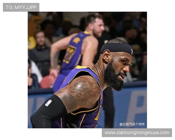 海斯怒吼空中摊手展现大度精神助力老詹三双成就传奇时刻