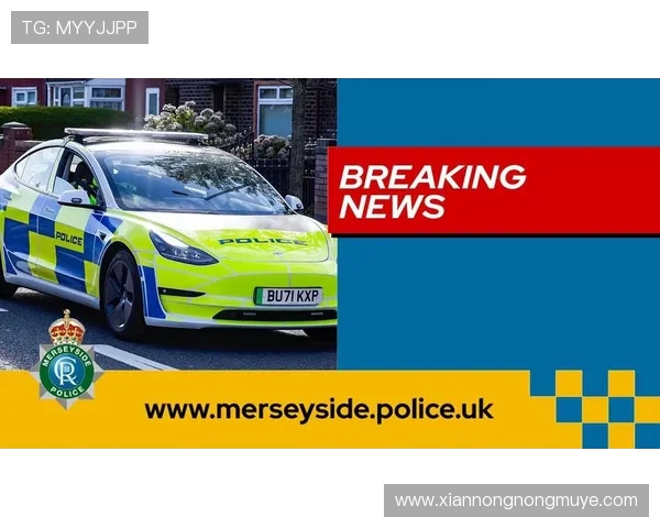 英超球员遭种族主义辱骂英国警方与通信局联合调查处理