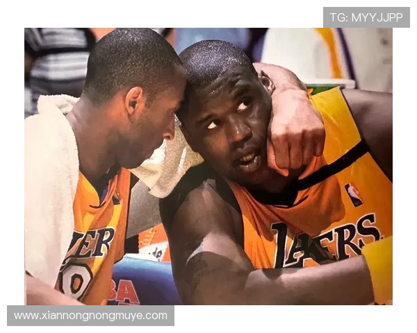 2002年NBA总决赛湖人横扫篮网夺得三连冠奥尼尔加冕MVP