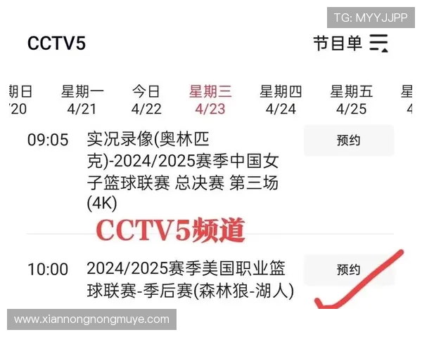 2022年NBA全明星赛CCTV5直播安排正式公布 2022年NBA全明星赛CCTV5直播安排正式公布